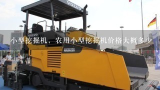 小型挖掘机，农用小型挖掘机价格大概多少