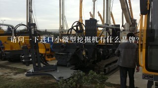 请问1下进口小微型挖掘机有什么品牌？