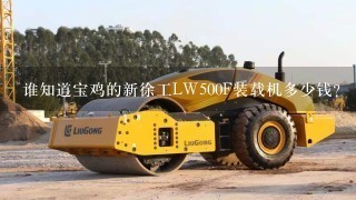 谁知道宝鸡的新徐工LW500F装载机多少钱？